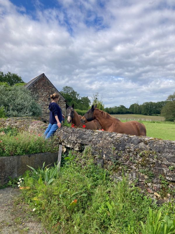 Vous aimez le cheval ? Découvrez l'équicoaching au Domaine des Vaulx, en Mayenne (53)