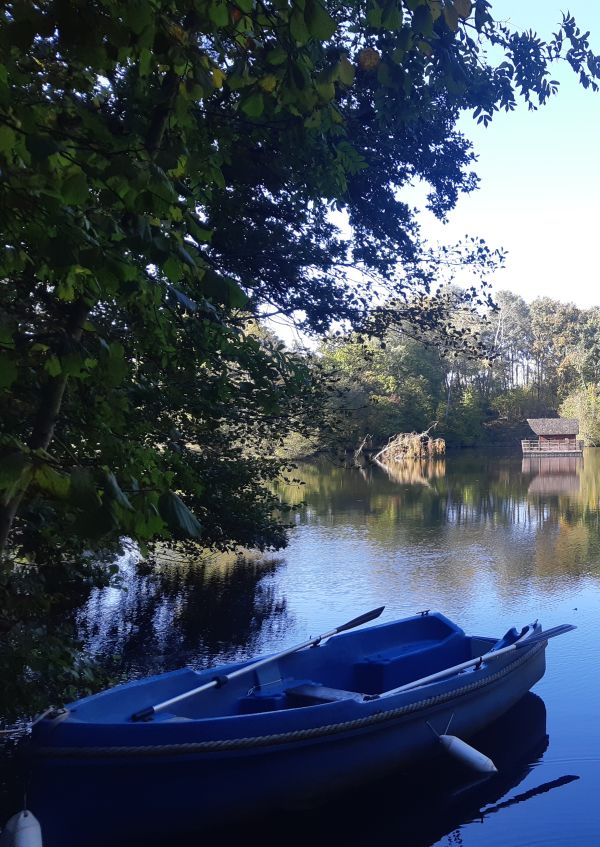 Embarquez pour une nuit insolite dans notre cabane flottante en Mayenne