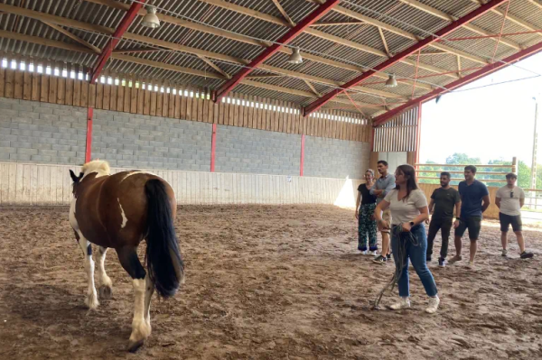 Séance d'équicoaching au Domaine des Vaulx en Mayenne