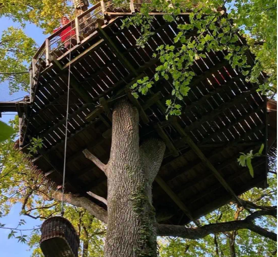 Panier dîner au Domaine des Vaulx - Hébergement insolite en Mayenne