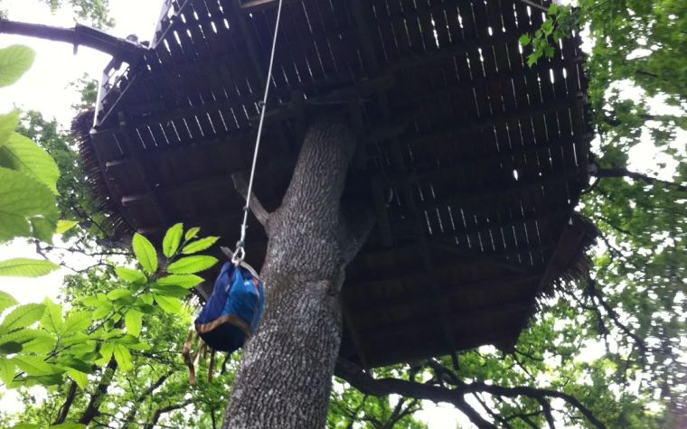 Dormir dans un arbre