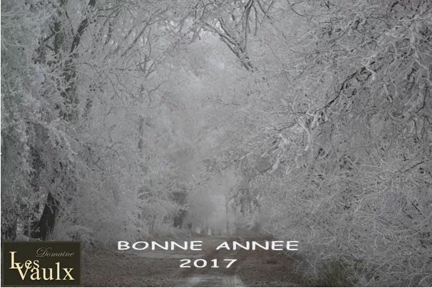 Bonne année 2017