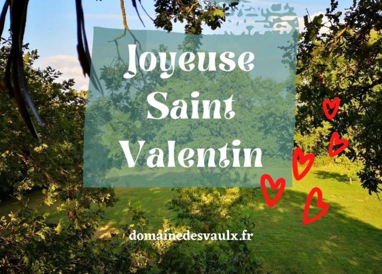 Notre plus belle Saint Valentin ?