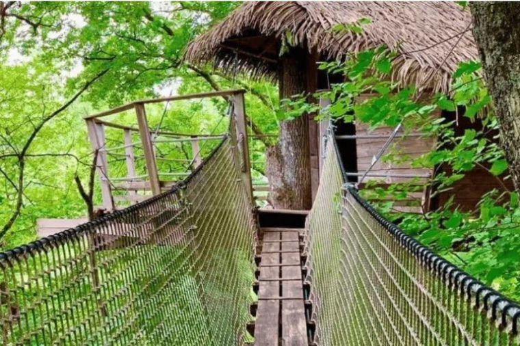 Évasion Unique : Les Meilleures Cabanes dans les Arbres en Pays de la Loire