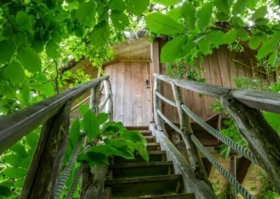 Cabane Girsberg - Accèdez par un escalier