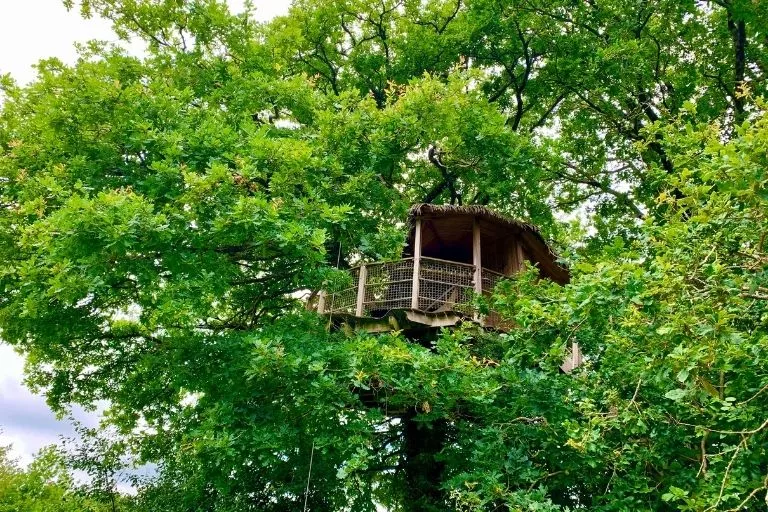 Cabane Girsberg - Cachée dans les arbres
