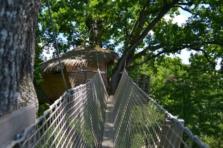 Cabane Guadeloupe - accès par le pont de singe